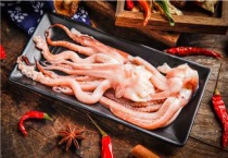 鱿鱼和墨鱼的区别？