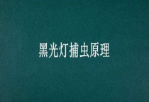 黑光灯捕虫原理