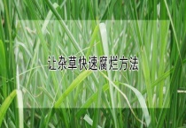 让杂草快速腐烂多久？