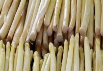 芦笋是什么植物？芦笋根、茎、叶的组成