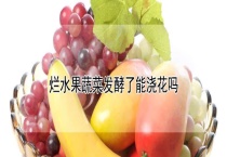 烂水果蔬菜发酵了能浇花吗？