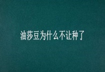 油莎豆为什么不让种了