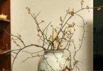 干枝梅插花瓶里需要水吗？