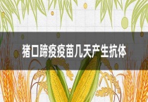 猪口蹄疫疫苗几天产生抗体