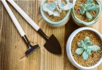 常见的花肥有哪些？