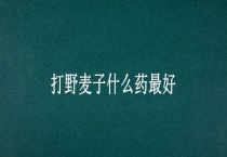 打野麦子什么药最好
