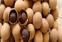 桂圆一般何时上市 常见的桂圆品种有哪些？