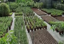 家庭农场是农业发展方向的原因是什么 主要有以下几点