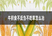牛积食不反刍不吃草怎么冶