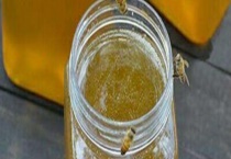 乌桕蜜和荆条蜜哪个好 它们含有什么营养成分