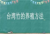 台湾竹的养殖多久？
