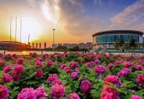 牡丹文化节时间