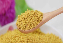 蜂花粉 附来源与种类