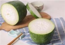 冬瓜催芽多久？