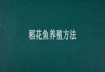 稻花鱼养殖多久？