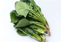 菠种子催芽多久？