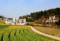 乡村振兴的意义在于什么？