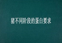 猪不同阶段的蛋白要求