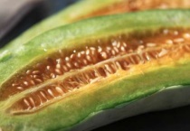 山东羊角蜜瓜几月成熟