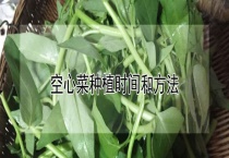 空心菜种植时间和多久？