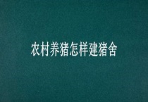 农村养猪怎样建猪舍