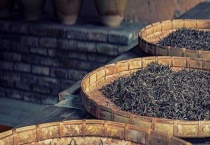 班章普洱茶有哪些特点