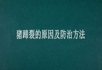 猪蹄裂的原因及防治多久？