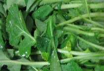 苔菜是不是莴笋 苔菜和莴笋有什么区别？？