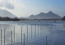 水产养殖需要的八个证