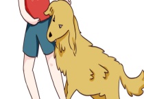 狗得狂犬病的症状有哪些？狗患狂犬病的信号和类型