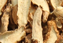 知母的产地分布 产地环境是怎样的