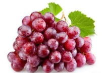 玻璃翠葡萄的特点