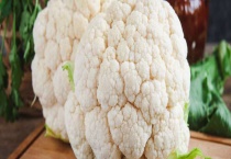 花椰菜对温度条件有什么要求