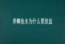 养鲫鱼水为什么要放盐
