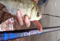 台钓鲫鱼用多长的鱼竿比较好？台钓鲫鱼用什么鱼钩