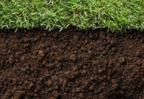 怎样改变土壤的酸碱度