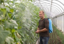 硝酸钾可溶吗？