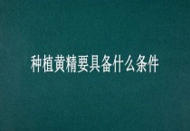 种植黄精要具备什么条件