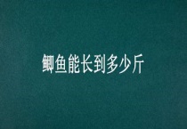 鲫鱼能长到多少斤