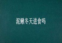 泥鳅冬天进食吗？
