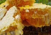 收的野蜜蜂多久稳定