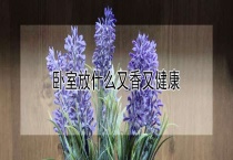卧室放什么又香又健康