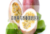 百香果与西番莲的区别？