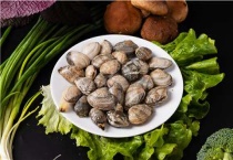 花蛤是海鲜吗？