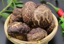 花菇和香菇的区别？