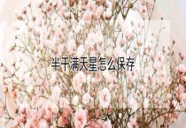半干满天星怎么保存
