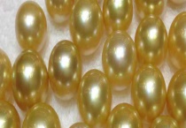 金珍珠的产地在哪里 附不同产地的具体介绍