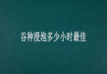 谷种浸泡多少小时最佳