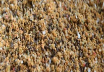 用什么饵料可以去水库钓鱼？附饵料的原则