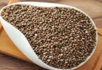 苏子是什么植物的种子